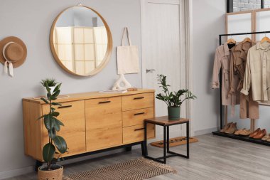 Modern koridorun içinde giysi askılığı, ayakkabı standı, tuvalet, ev bitkileri ve kapının yanındaki beyaz duvarda asılı ayna.