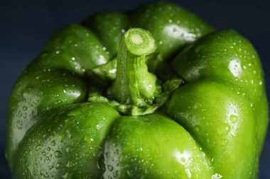 Mavi arka planda yeşil dolma biber, yakın plan.