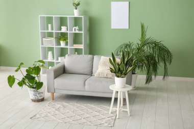 Kanepe, raf ünitesi ve oturma odasındaki yeşil duvarın yanındaki farklı ev bitkileri.