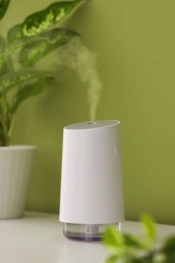 Odadaki yeşil duvarın yanındaki rafta bitki olan hava nemlendirici, yakın plan.