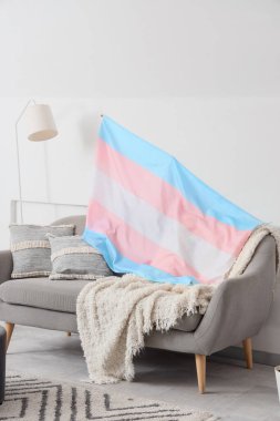 Beyaz duvarın yanında gri kanepe, lamba ve transseksüel bayrağı olan modern odanın içi.