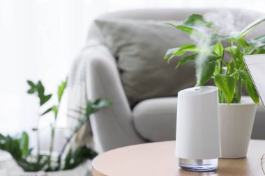 Modern hava nemlendiricisi, oturma odasındaki bitki örtüsü, yakın plan.