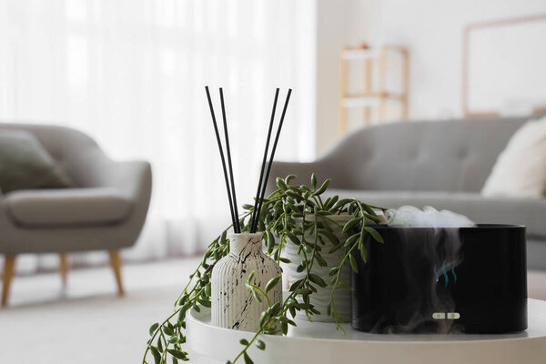 Modern air humidifier with plant and reed diffuser on table in living room, closeup