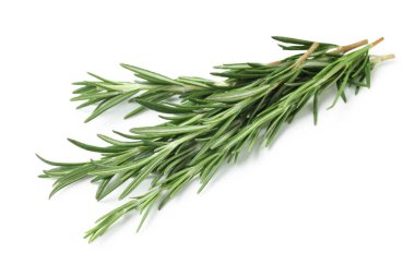 Beyaz arkaplanda izole edilmiş taze biberiye dalları, yakın plan