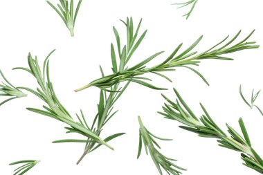 Uçan yeşil biberiye beyaz arka planda izole edilmiş, yakın plan.