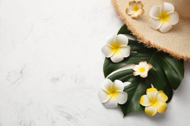 Beyaz arka planda tropikal canavar yaprağı ve hasır şapkalı güzel plumeria çiçekleri.