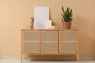 Tahta dolap, kitaplar, ev bitkisi ve bej duvarın yanında heykelcik.