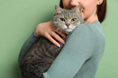 Genç ve güzel bir kadın yeşil arka planda sevimli gri kedisine sarılıyor.