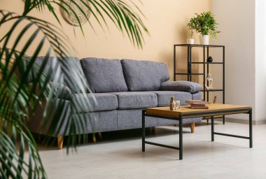 Konforlu kanepe, raf ünitesi, kahve masası ve oturma odasındaki bej duvarın yanındaki çiçek.