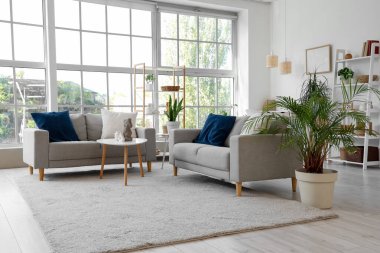 Gri koltukları, raf üniteleri ve bitkileri olan oturma odasının içinde.