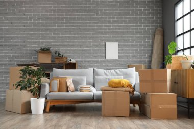 Gri kanepeli karton kutular ve taşınma gününde oturma odasındaki pencerenin yanında bitkiler.