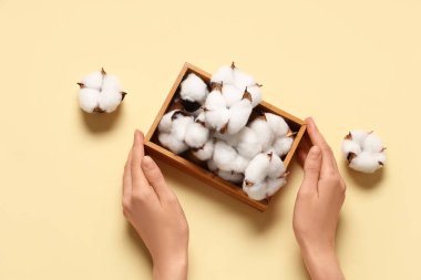 Sarı arka planda pamuk çiçekli tahta kutu tutan kadın eller.