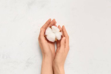 Beyaz grunge arka planda pamuk çiçekli kadın eller, yakın plan