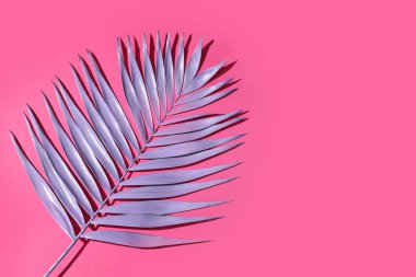 Pembe arka planda neon tropikal palmiye yaprağı