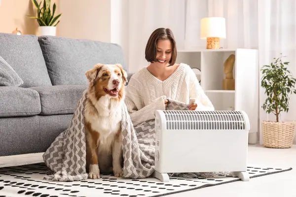 Evde ısıtıcının yanında battaniyeli genç kadın ve Avustralyalı çoban köpeği oturuyor.