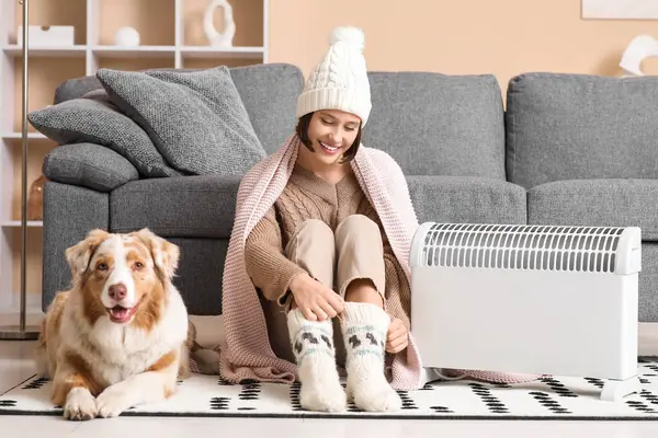 Kışlık elbiseli genç kadın battaniyeli ve Avustralyalı çoban köpeği evde ısıtıcının yanında yerde oturuyor.