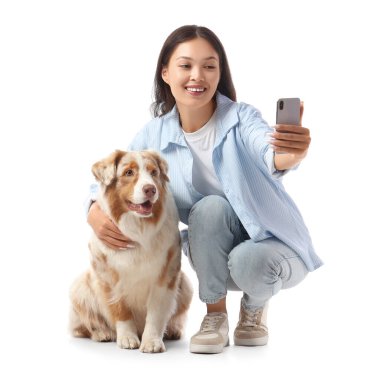 Avustralyalı çoban köpeği olan genç Asyalı kadın beyaz arka planda selfie çekiyor.