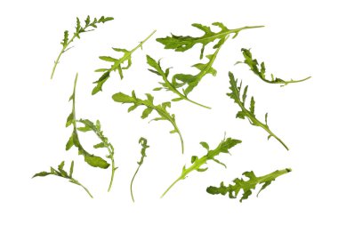 Beyaz arka planda taze roka yaprakları uçuşuyor.