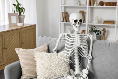 Oturma odasındaki gri koltukta insan iskeleti modeli.