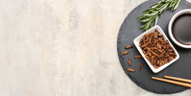 Gri zemin üzerinde biberiye ve soya soslu kızarmış böcekler.