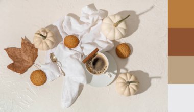 Bir fincan lezzetli balkabağı kahvesi, sonbahar süslemeleri ve grunge beyaz arka planda kurabiyeler.