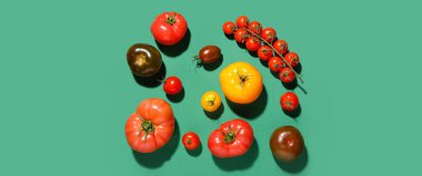 Yeşil arka planda farklı taze domatesler.