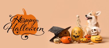 Cadılar Bayramı süslemeleri, cadı şapkası ve sonbahar yaprakları bej arka planda oturan şirin Corgi köpeği.