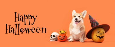 Cadılar Bayramı balkabaklı şirin Corgi köpeği, cadı şapkası ve turuncu arka planda oturan insan kafatası.