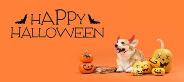 Cadılar Bayramı balkabaklarıyla şeytan boynuzları içinde şirin Corgi köpeği ve turuncu arka planda duran büyü kitabı.