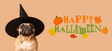 Cadılar bayramı afişi. Bej arka planda cadı şapkası takmış şirin bir köpek.