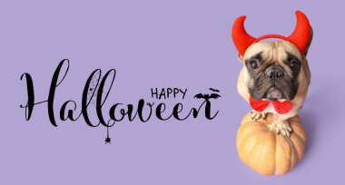 Cadılar Bayramı afişi şeytan boynuzları içinde şirin bir köpek ve leylak arkaplanda balkabağı