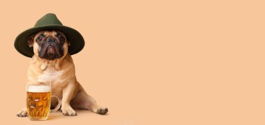 Şapkalı şirin bulldog ve bej arka planda bir kupa birayla mesajlaşmak için yeri var. Ekim Festivali Kutlaması