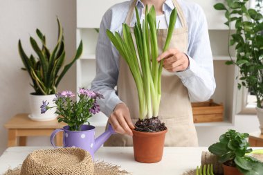Aydınlık masada farklı bitkileri olan kadın bahçıvan.