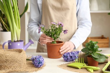 Masada bitki ve aletleri olan kadın bahçıvan.