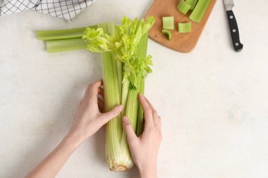 Beyaz arka planda taze yeşil kereviz demeti olan kadın elleri.