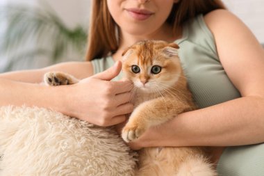 Evdeki kanepede tatlı kediciği olan genç bir kadın yatıyor.