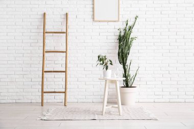 Büyük bir kaktüs, merdiveni ve beyaz tuğla duvarın yanında dekorasyonu var.