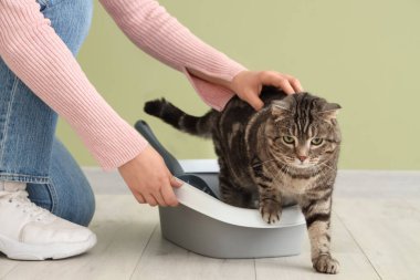 Kum havuzunda sevimli bir kedi ve yeşil duvarın yanında da sahibi var.