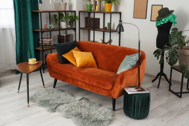 Şık oturma odasının içinde kanepe, yastıklar ve raf üniteleri var.