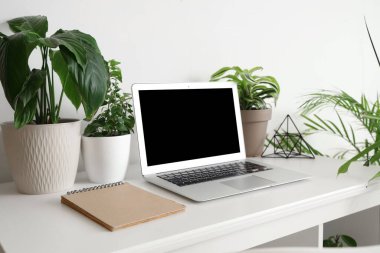 Ofisteki ışık duvarının yanındaki masada yeşil çiçekli boş dizüstü bilgisayar.