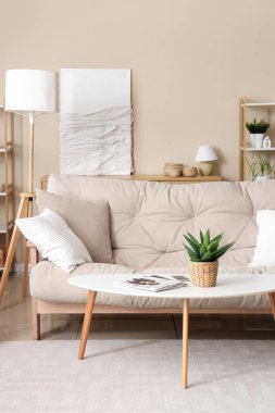 Rahat kanepesi, sehpası, çiçekleri ve yastıkları olan güzel bir oturma odası.