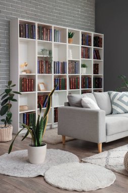 Gri kanepesi ve kitaplığı olan modern oturma odasının içinde.