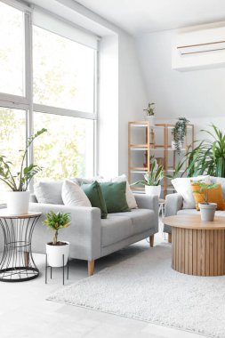 Yeşil bitkilerle, kanepelerle ve masalarla aydınlık oturma odasının içinde.