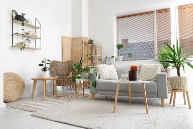 Gri kanepesi, kahve masası ve çiçekleri olan şık bir oturma odası.