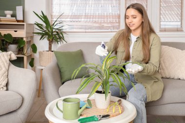 Evdeki çiçekleri sprey şişesiyle sulayan genç bir kadın.
