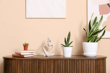 Dolgun bitkilerle dolu çekmeceler ve odada bej duvarın yanında kitaplar.