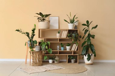 Odasında bej duvarın yanında farklı ev bitkileri olan ahşap raf ünitesi.