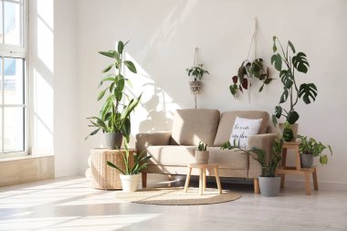 Hasır sehpası olan farklı bitkiler ve oturma odasının penceresinin yanındaki yumuşak kanepe.