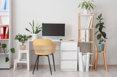 İş yeri, raf ünitesi ve yeşil ev bitkileriyle birlikte ofis içi