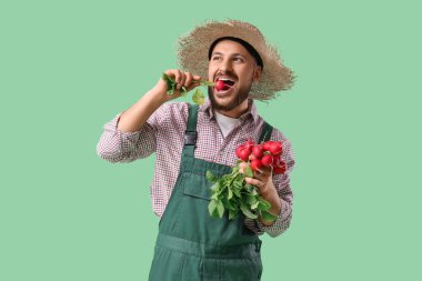 Erkek çiftçi yeşil arka planda olgun turp yiyor.